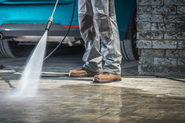 Best Warehouse Cleaning  in Hayfork, CA