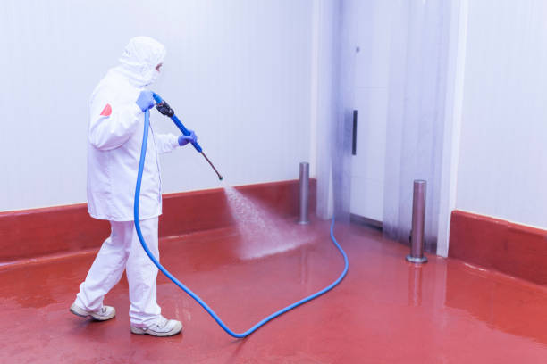Best Rust Removal  in Hayfork, CA