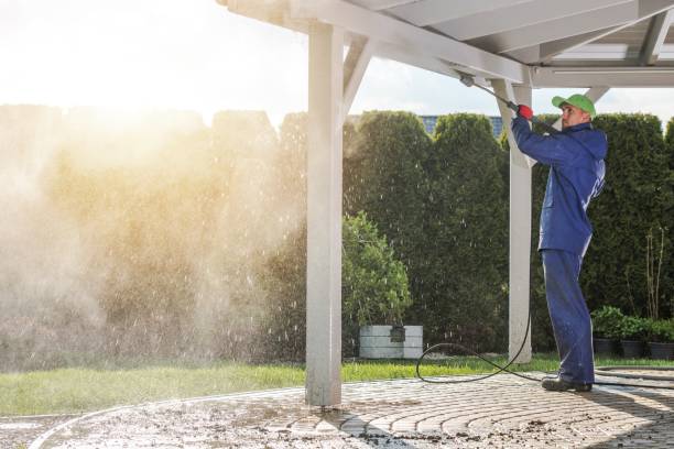 Best Gutter Cleaning  in Hayfork, CA