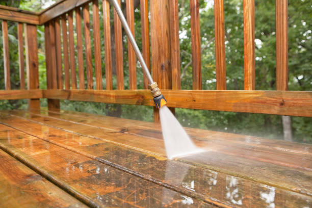 Best Animal Enclosure Cleaning  in Hayfork, CA
